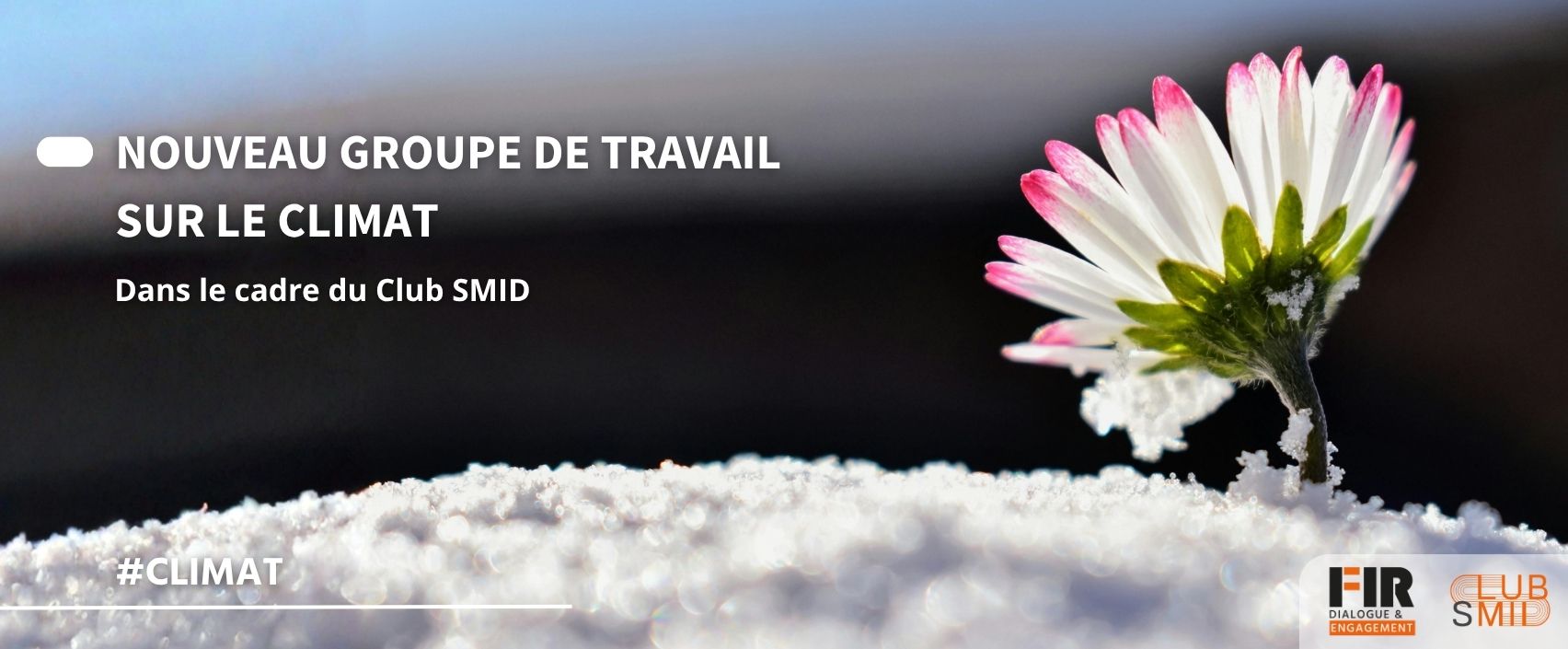 Le FIR lance un nouveau groupe de travail dédié au Climat dans le cadre du Club SMID