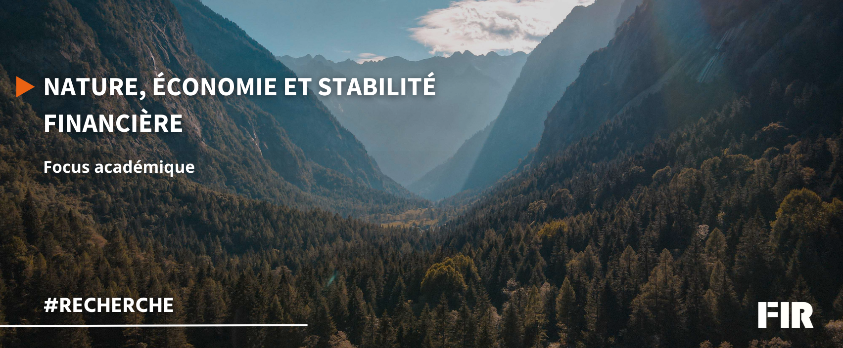 Nature, économie et stabilité financière - nouveau focus académique du FIR